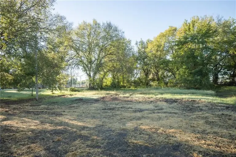 Backyard and trees at 305 E Pacific St, Holden, Missouri - DRAT House 2